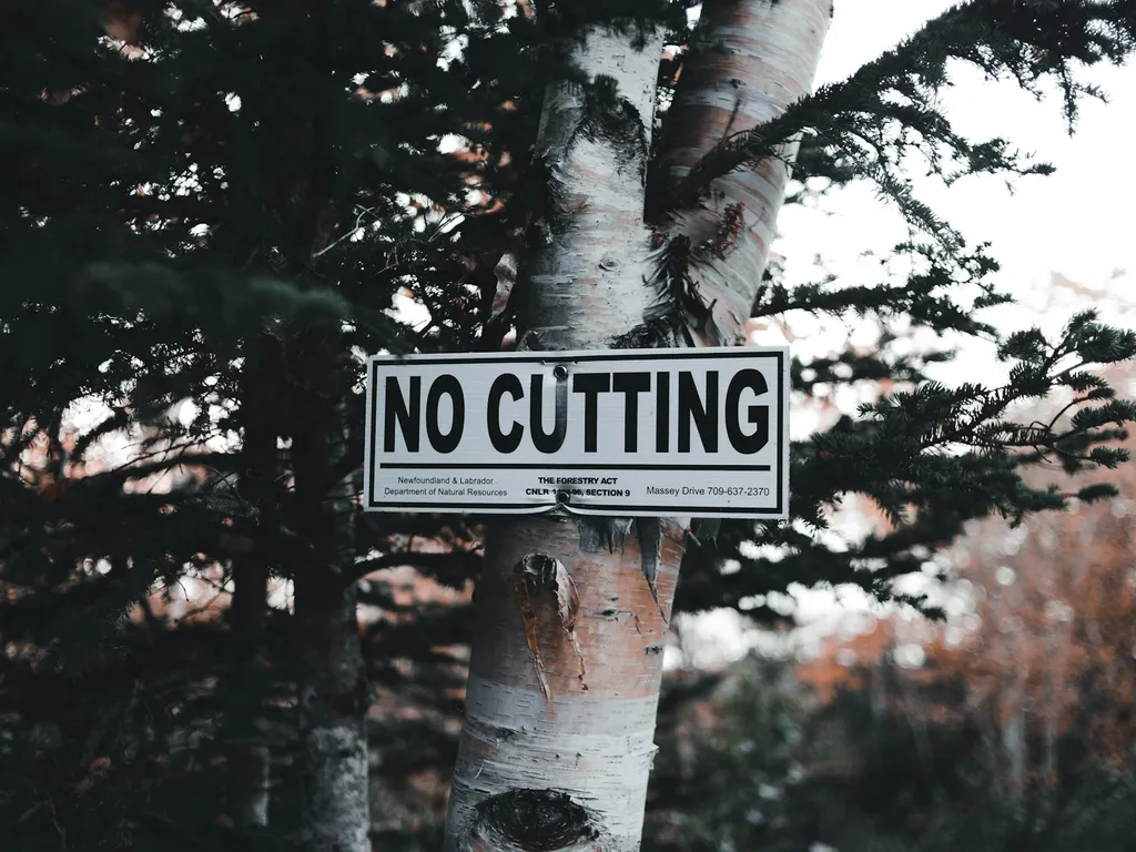 reglementations-sur-la-gestion-des-forets